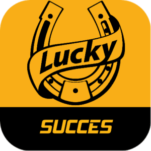 Succes overig