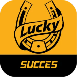 Succes overig
