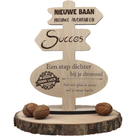 succes met nieuwe baan